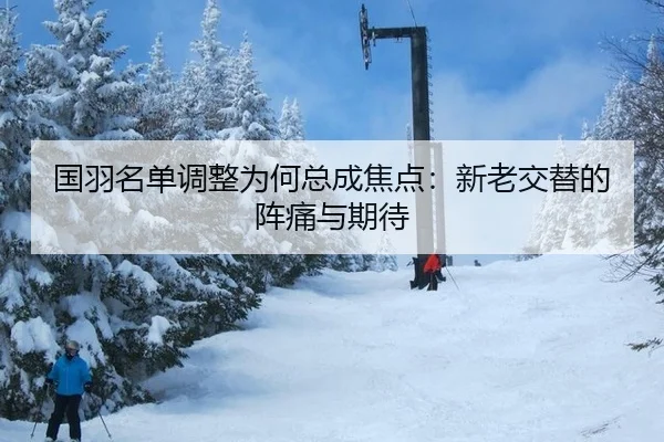 guo-yu-ming-dan-tiao-zheng-wei-he-zong-cheng-jiao-dian-xin-lao-jiao-ti-de-zhen-tong-yu-qi-dai-2-792.jpg